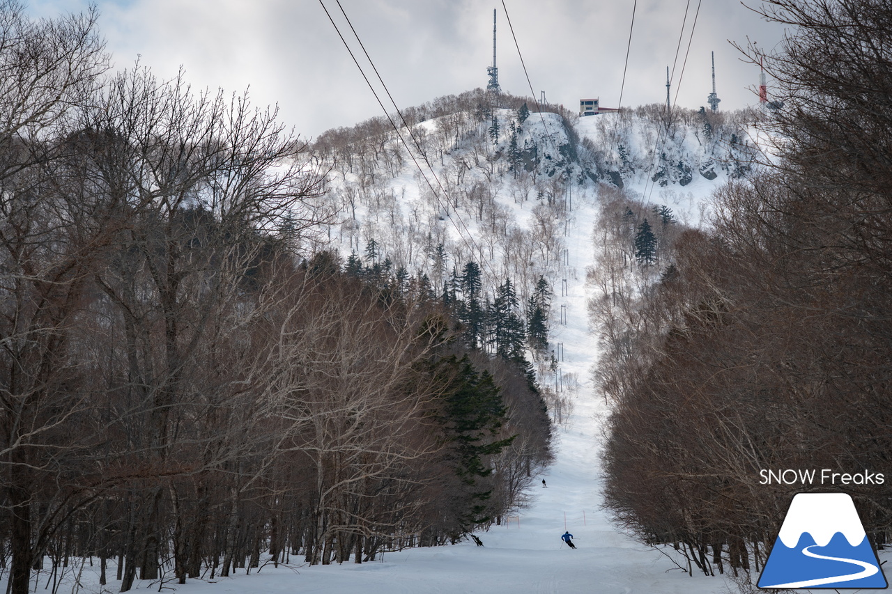 サッポロテイネ｜山頂積雪 285cm！絶好の春コンディションのゲレンデは、『アルペンスキー大会』『モーグル大会』『テイネ雪山祭り』『北海道米そり選手権2026』で大盛り上がり～(^^)v